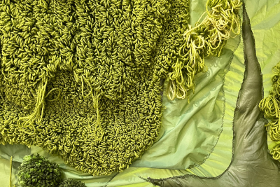 Photograph of artwork: detail of The Common copyright Sinead Marray-Woods